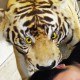 永瀬 優(パラリーガル)