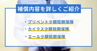 弁護士費用保険とは 弁護士保険3社を徹底比較 あなたへのおすすめはどれ 保証内容と加入メリットを解説 弁護士費用保険の教科書